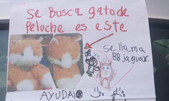 cartel oso de peluche