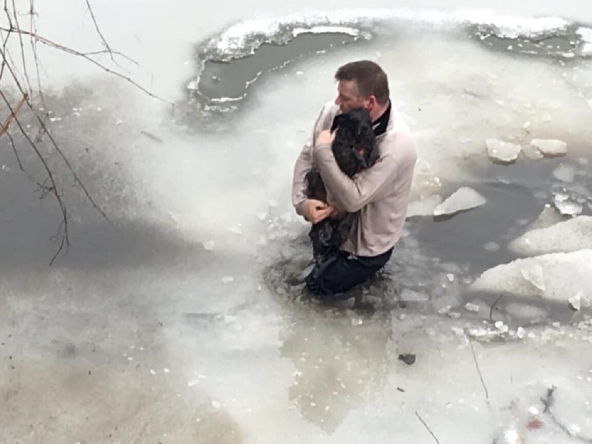 Hombre salva a un perro de las aguas heladas de Ellicott Creek