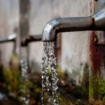 Japón, un hospital lleva casi 30 años utilizando el agua de los retretes como agua potable