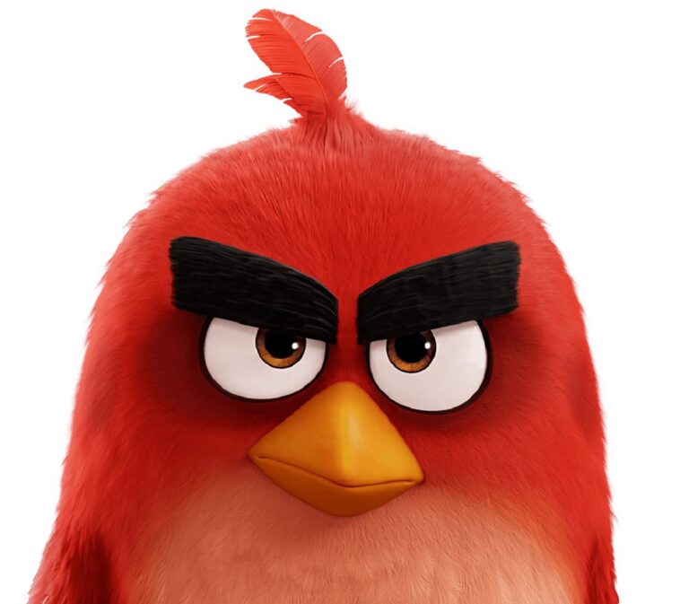 Una mujer queda con las cejas de ‘Red’ de Angry Birds por un tinte de 8 dólares