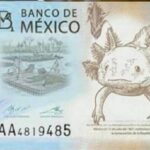 El Banco de México lanza el billete de 50 pesos con luz fluorescente