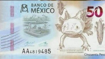 banco de mexico