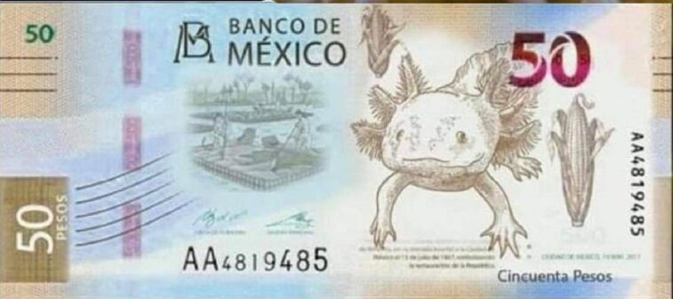 El Banco de México lanza el billete de 50 pesos con luz fluorescente