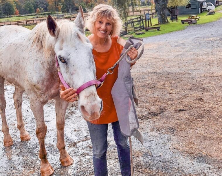 Buddy, el caballo ciego, se salvó de la eutanasia y está prosperando en su nuevo hogar