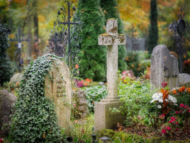 Un cementerio atrapa a los ladrones de tumbas en el acto, tienen una lección de vida