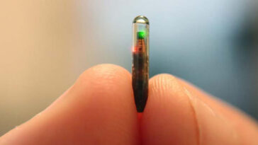 tiktoker con microchip implantado en la mano