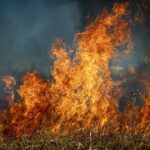 cervezas para apagar un incendio