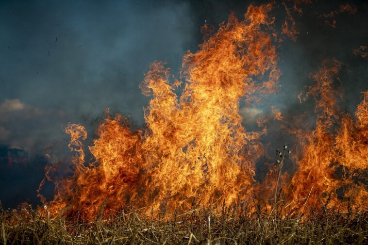 cervezas para apagar un incendio