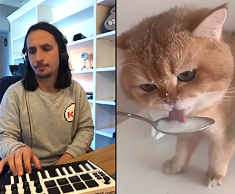 tiktok gato tomando leche