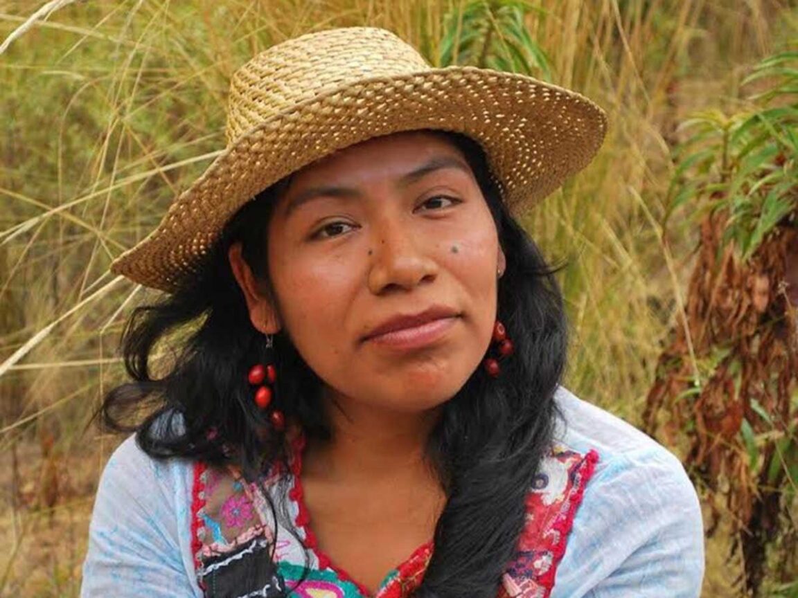 Irma Galindo, la defensora de los bosques está desaparecida en el sur de México