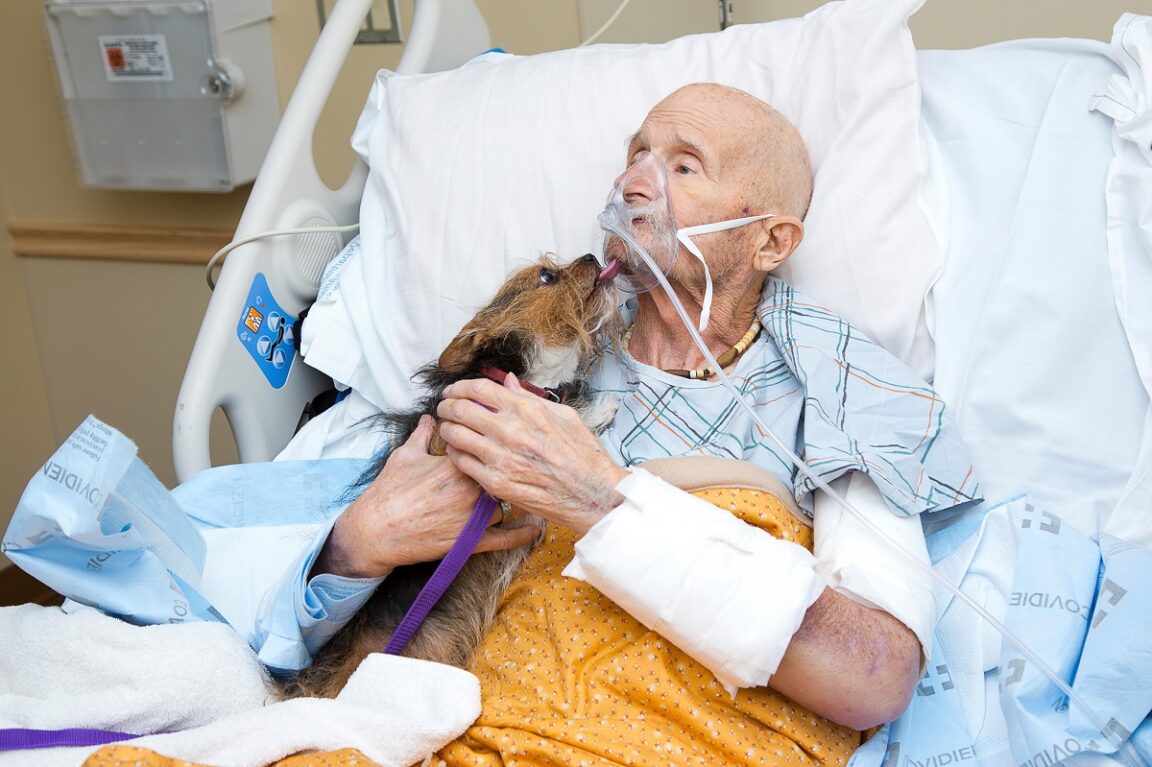Un veterano moribundo en un hospicio cumple su último deseo: ver a su perro por última vez
