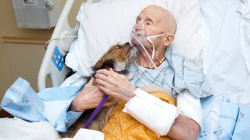 Un veterano moribundo en un hospicio cumple su último deseo: ver a su perro por última vez