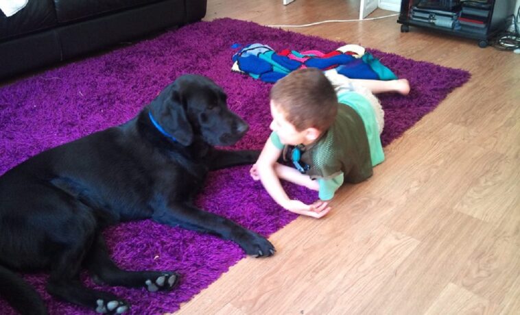 Un perro es la mejor compañía de un niño autista, incluso en el hospital