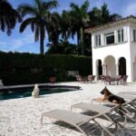 El perro más rico del mundo: vende su mansión en Miami, esto vale