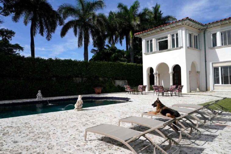 El perro más rico del mundo: vende su mansión en Miami, esto vale