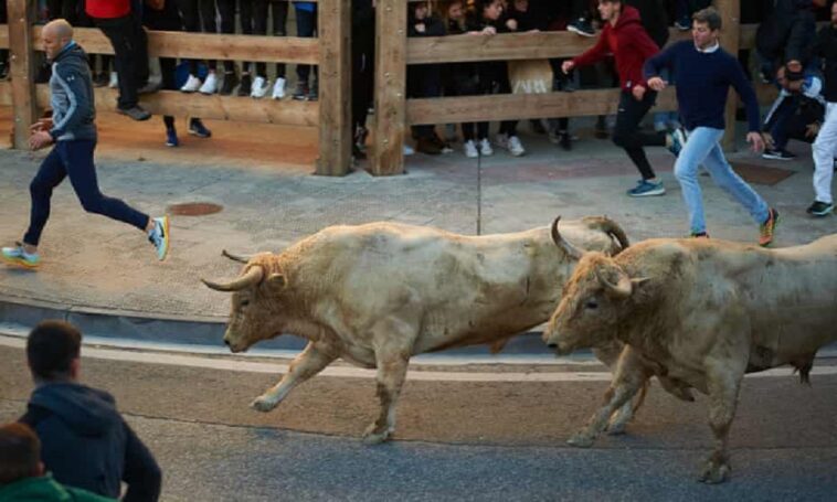 Hombre es corneado a muerte por un toro en festival de España