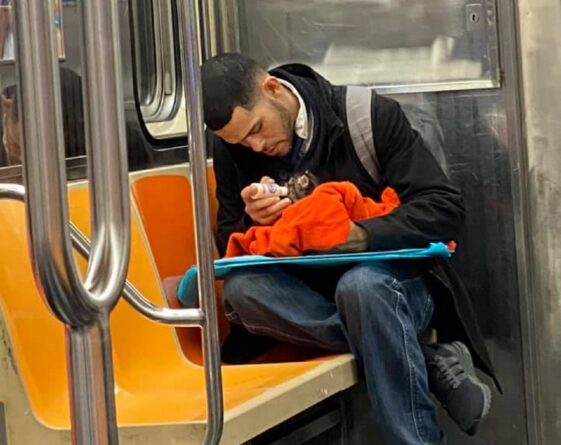 Un hombre alimenta con un biberón a un gatito callejero en el metro: foto viral