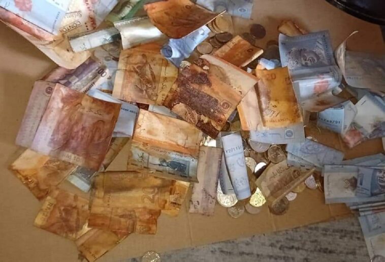 Perdió sus ahorros, que guardaba “debajo del colchón”: las monedas se oxidaron y arruinaron los billetes