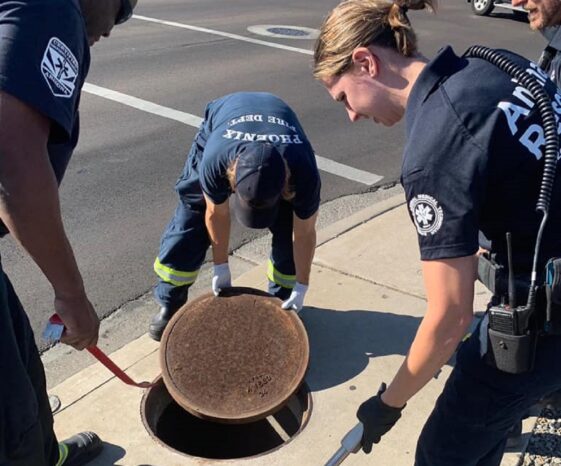 Bomberos salvan a un gatito de dos meses que quedó atrapado en una alcantarilla durante una semana