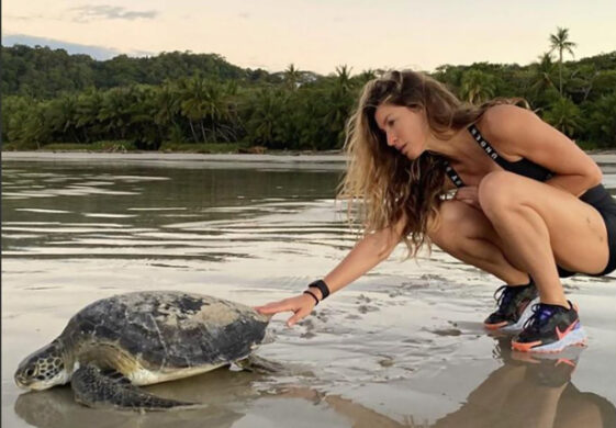 Gisele Bündchen tortuga