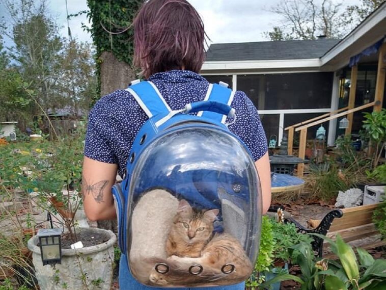 Una dueña lleva a su gato enfermo en una mochila transparente para mostrarle el mundo