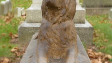 La gente deja palos en la tumba de un perro que murió hace 100 años