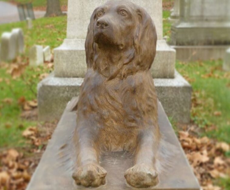 La gente deja palos en la tumba de un perro que murió hace 100 años