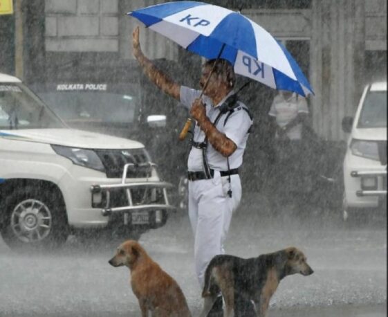 La foto de un policía se hace viral por compartir un paraguas con perros callejeros durante la lluvia