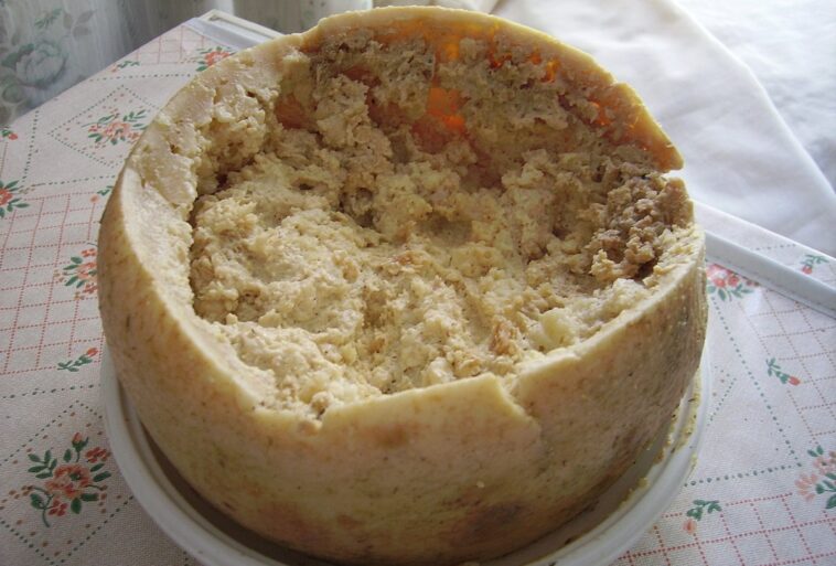 Casu marzu: ¿el queso más peligroso del mundo?