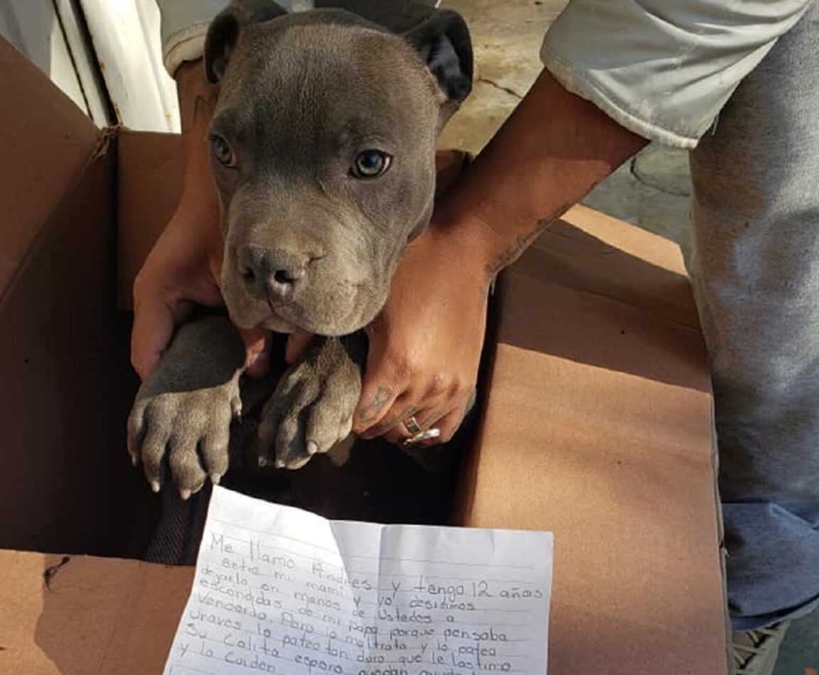 Un niño de 12 años deja a su perro fuera del refugio con una nota desgarradora