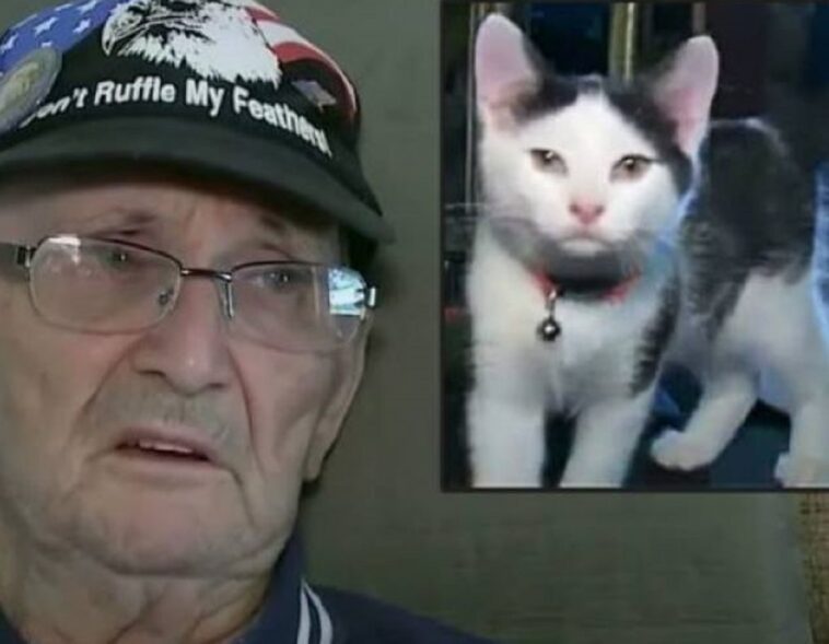 Un gato salva la vida de un veterano del ejército tras una mala caída: «Fluffy, eres mi única esperanza»