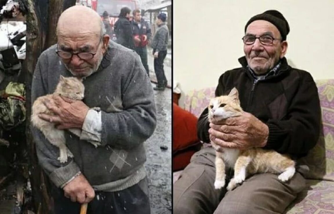 Un anciano que sobrevivió al incendio de su casa con un gatito consigue un nuevo hogar