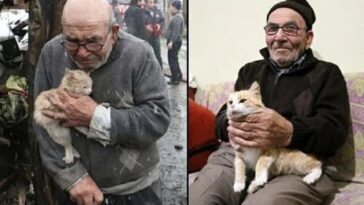 Un anciano que sobrevivió al incendio de su casa con un gatito consigue un nuevo hogar