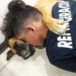 En Argentina, por culpa de la pirotecnia muere una perrita en los brazos de su dueño