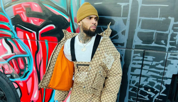 chris brown demandará a modelo francesa