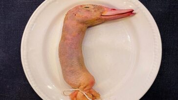 Un restaurante que sirve cuello de pato relleno por 18 libras deja a algunos comensales horrorizados