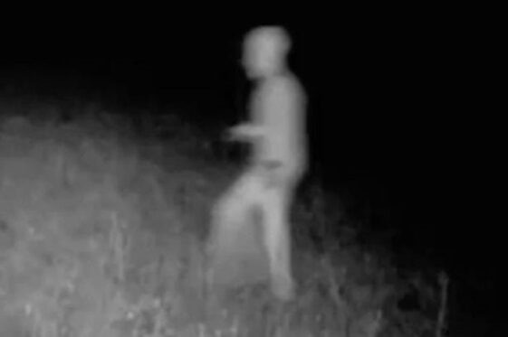 Hombre captura a ‘alienígena desnudo’ con cabeza bulbosa en un área que se cree que es un ‘punto de acceso OVNI’