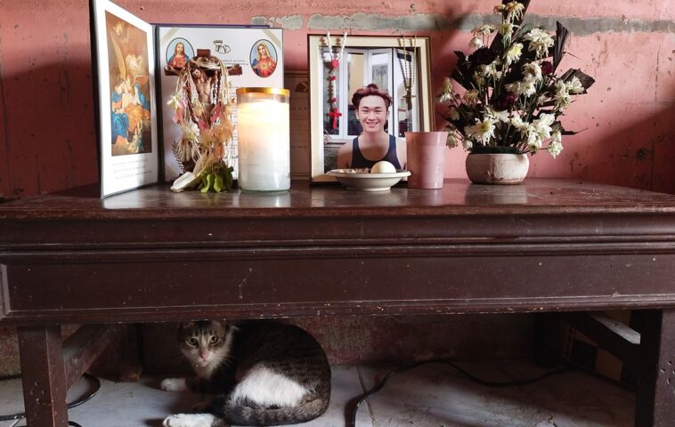 Un gato se acurruca junto al féretro de su dueño de 19 años 