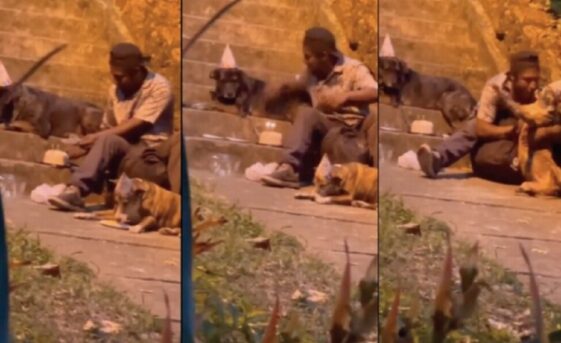 Vídeo conmovedor: habitante de calle celebra el cumpleaños de sus perros