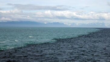¿Por qué las aguas de los océanos Atlántico y Pacífico no se mezclan?