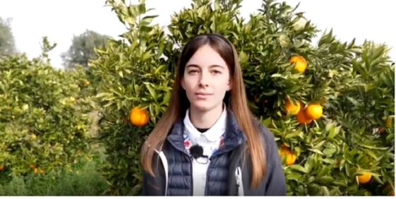 El amable gesto de una hija al fallecer su padre agricultor: regalar todas las naranjas para que no se pierdan