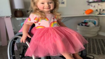 El elfo de la estantería llega a casa en silla de ruedas para ayudar a una niña de 2 años con una rara enfermedad genética