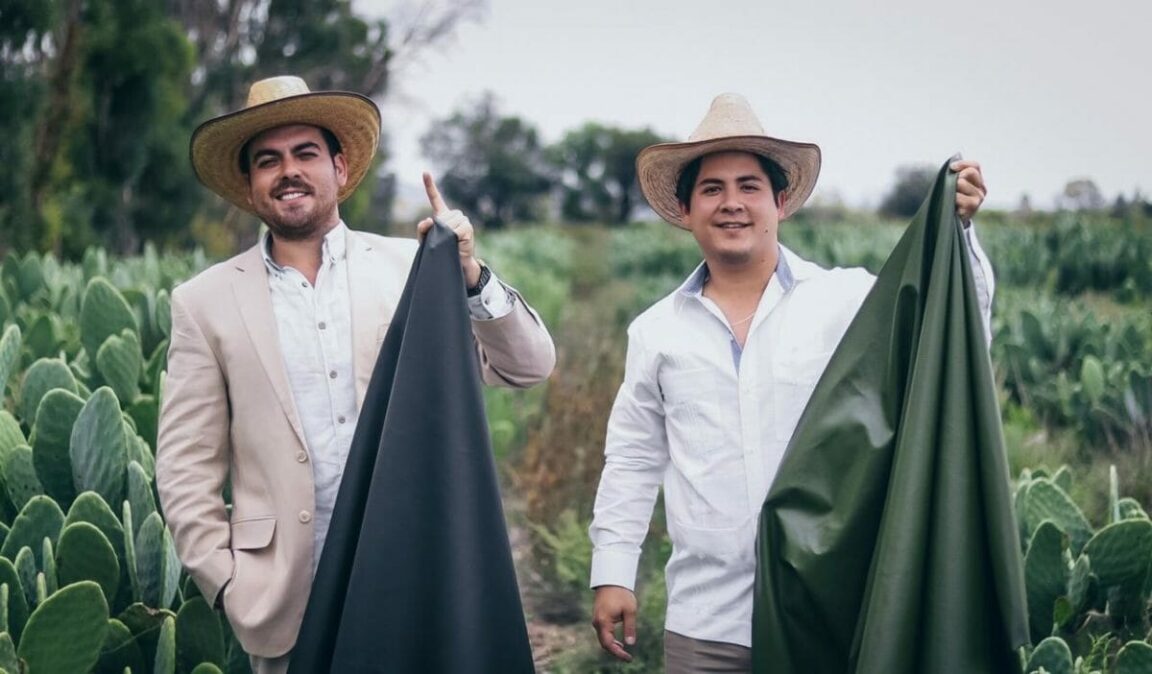 Moda con cactus: inventores mexicanos crean una alternativa de cuero vegano a partir de una planta de higo chumbo