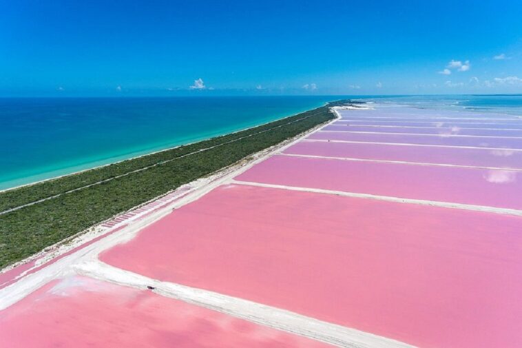 Las Coloradas, el paisaje excéntrico de México que enamora a los turistas 