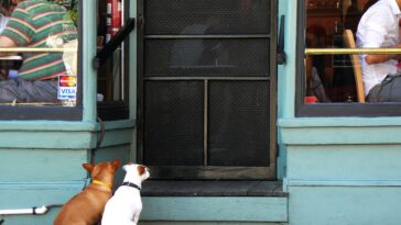 La polémica que causó el anuncio ‘pet friendly’ de un restaurante en redes sociales 