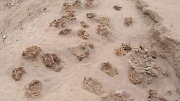 Arqueólogos descubren que a más de 140 niños se les podría haber extraído el corazón en un sacrificio