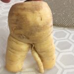 Hombre encuentra una chirivía muy grosera en la verdura que compró: la foto se hizo viral