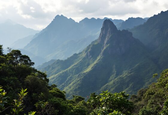 Immagine che rappresenta la cultura Arhuaco e la loro lotta