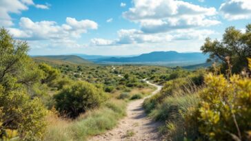 Turismo en parques nacionales: oportunidades y riesgos