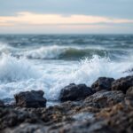 Immagine di un disastro ecologico nel Mar del Nord